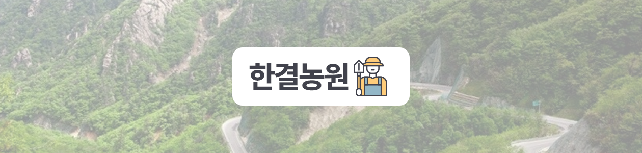 회사 이미지